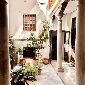 Charming, Spacious Albayzin Granada